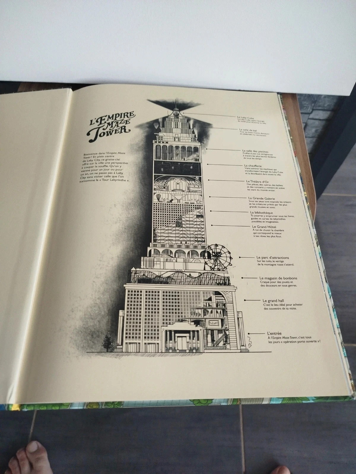 Boek De Toren Labyrint – photo 3